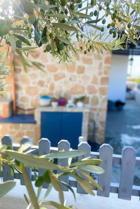 Giasemi Aegina, Modern House Βίλα Εξωτερικό φωτογραφία